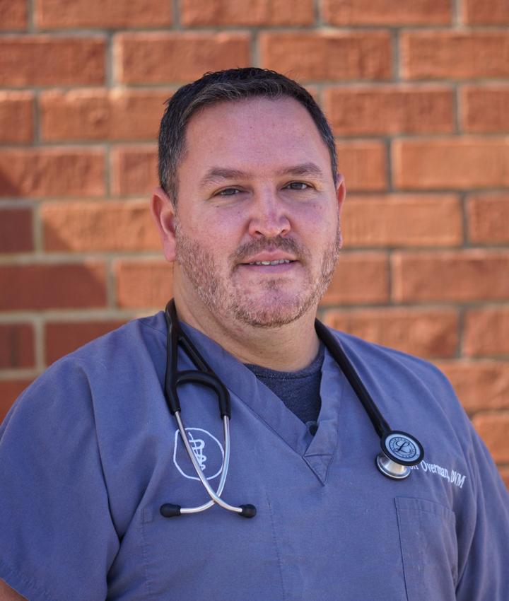 Dr. Jason Overman, DVM Springfield Animal Hospital